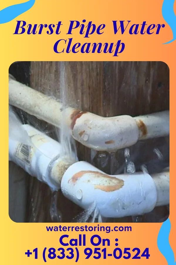 Burst Pipe Water Cleanup in Oak Grove, AL